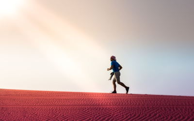 Développement personnel 2024 : cinq tendances qui transforment réellement nos vies